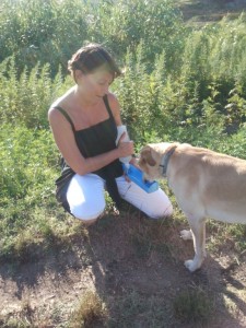 Leo-Asd-Il-lupo-Centro-Cinofilo-Toscana-Firenze-13 