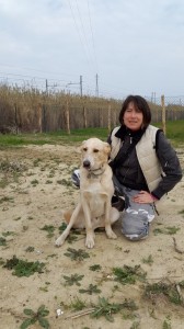 Leo-Asd-Il-lupo-Centro-Cinofilo-Toscana-Firenze-16 