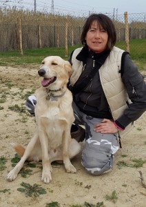 Leo-Asd-Il-lupo-Centro-Cinofilo-Toscana-Firenze-17 