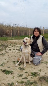 Leo-Asd-Il-lupo-Centro-Cinofilo-Toscana-Firenze-18 