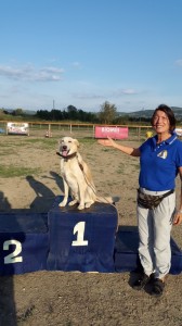Leo-Asd-Il-lupo-Centro-Cinofilo-Toscana-Firenze-22 