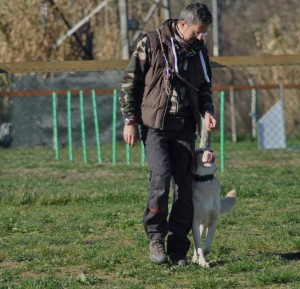 Leo-Asd-Il-lupo-Centro-Cinofilo-Toscana-Firenze-31 