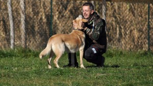 Leo-Asd-Il-lupo-Centro-Cinofilo-Toscana-Firenze-44 