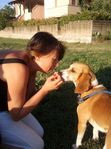 Milù-Asd-Il-lupo-Centro-Cinofilo-Toscana-Firenze-02