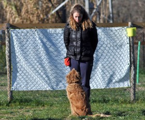 Willie-Asd-Il-lupo-Centro-Cinofilo-Toscana-Firenze-02