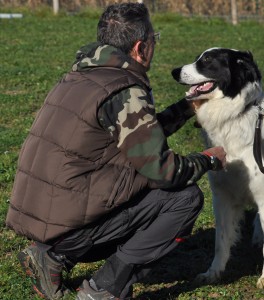 Zero-Asd-Il-lupo-Centro-Cinofilo-Toscana-Firenze-03  